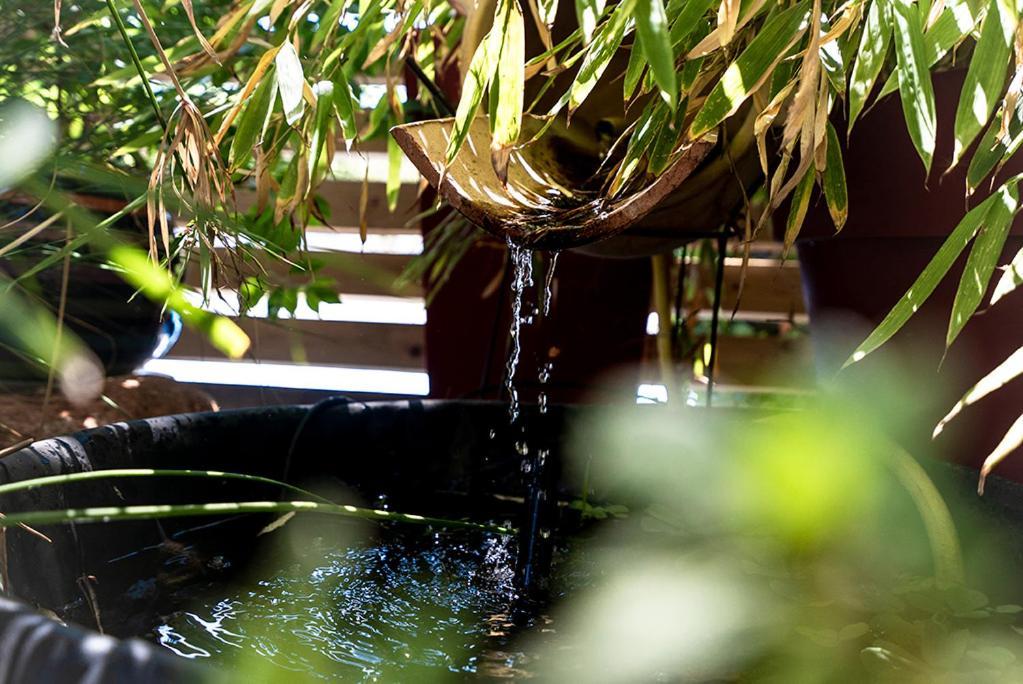 Logis Hotel- Hotel Restaurant Le Rialto Le Sequestre Ngoại thất bức ảnh